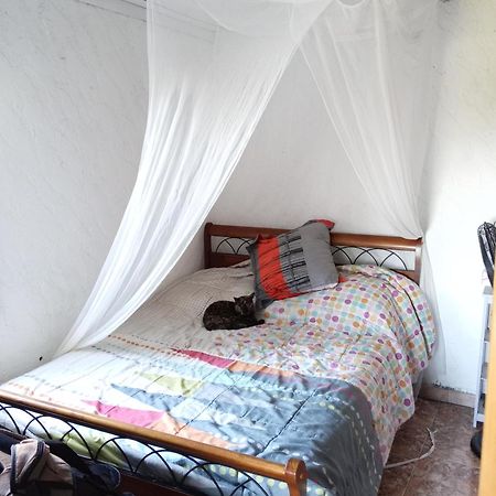 Appartement T2 vue mer à La Saline Les Hauts Extérieur photo