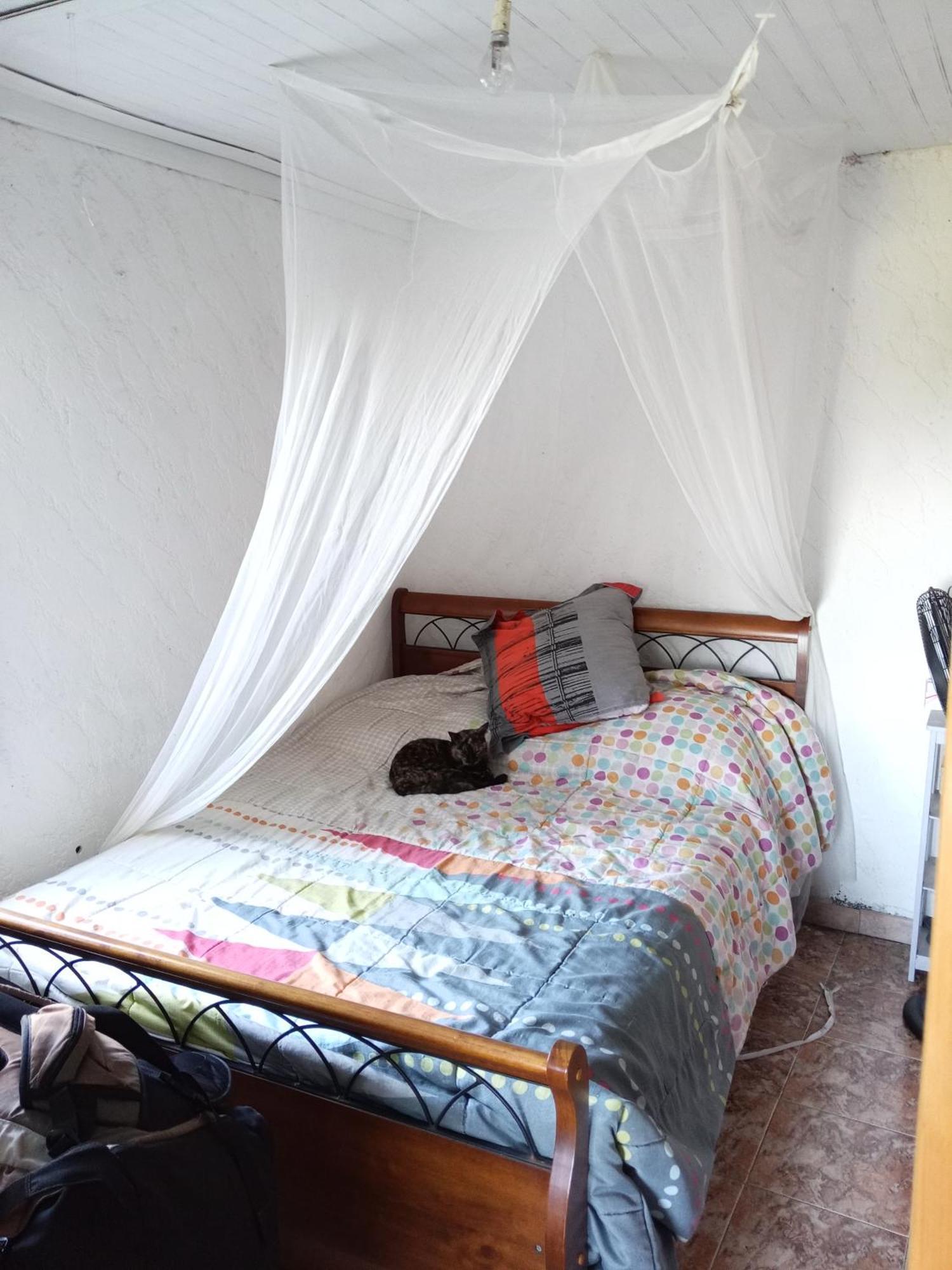 Appartement T2 vue mer à La Saline Les Hauts Extérieur photo